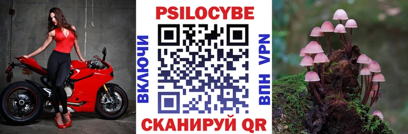 Псилоцибиновые грибы Psilocybine cubensis  купить закладку  Ряжск 